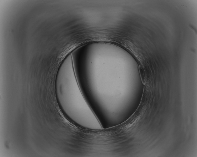 X0000093430433200710120921