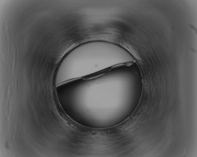 X0000093430434200710120921
