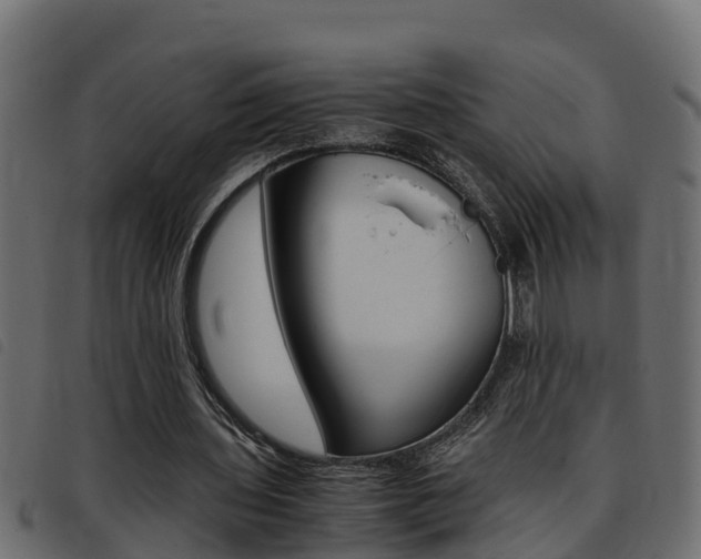 X0000093430435200710120921