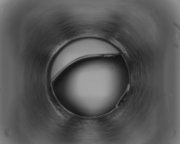 X0000093430436200710120921