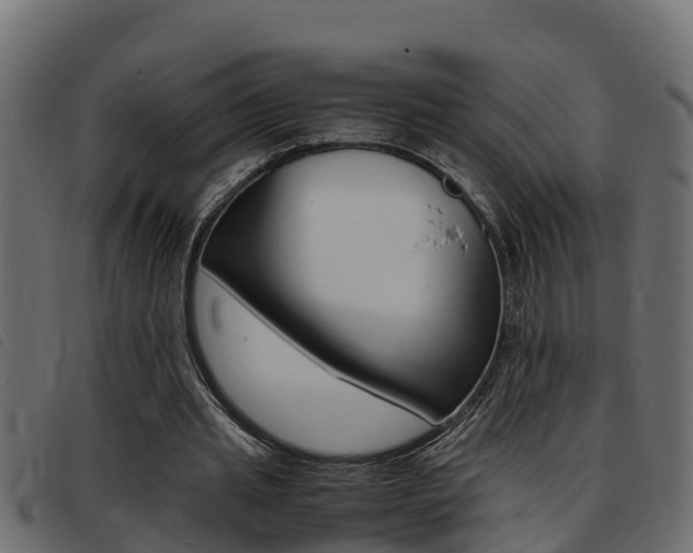 X0000093430437200710120921