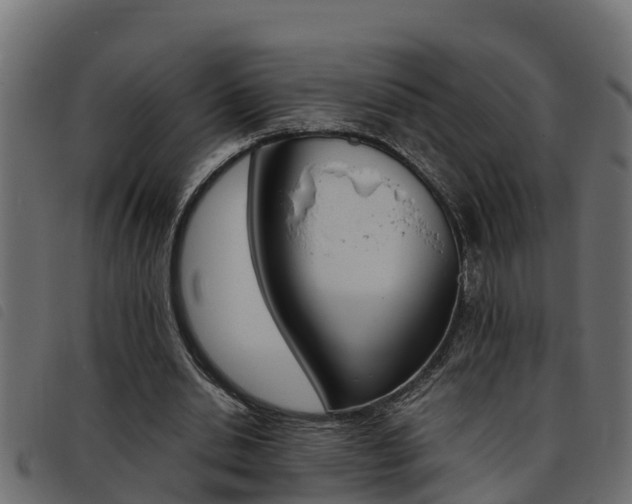 X0000093430438200710120921