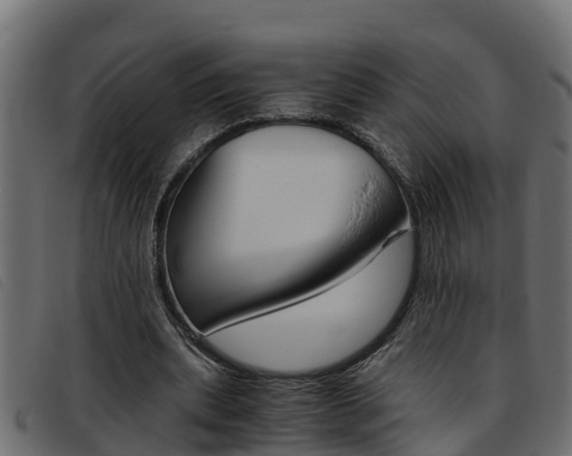 X0000093430439200710120921