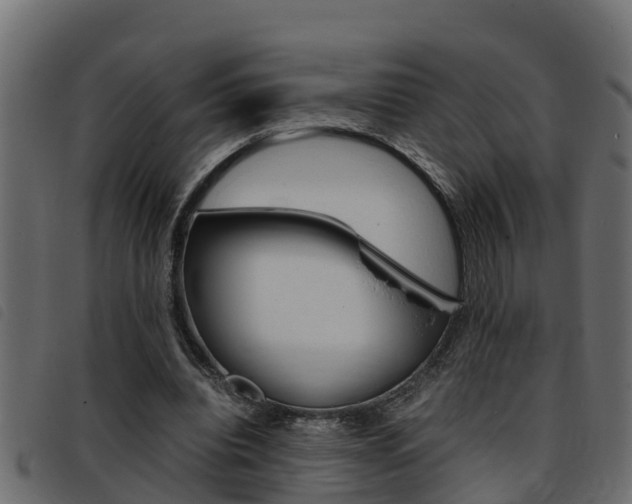 X0000093430440200710120921