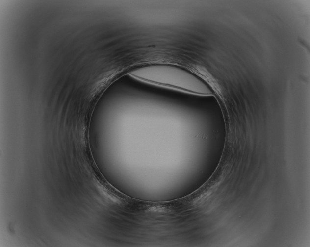 X0000093430441200710120921