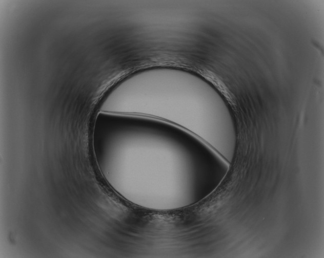 X0000093430442200710120921