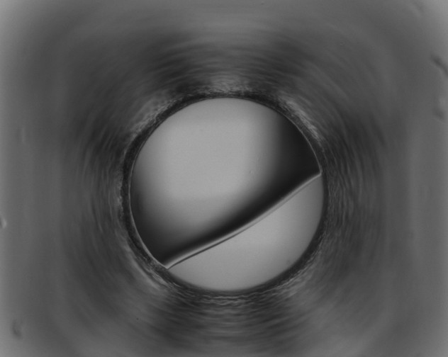 X0000093430443200710120921