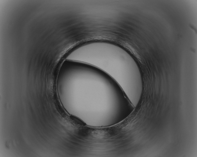 X0000093430444200710120921