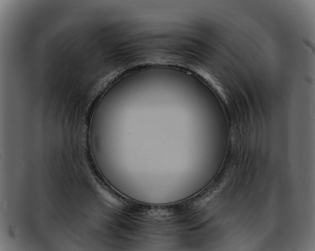 X0000093430445200710120921