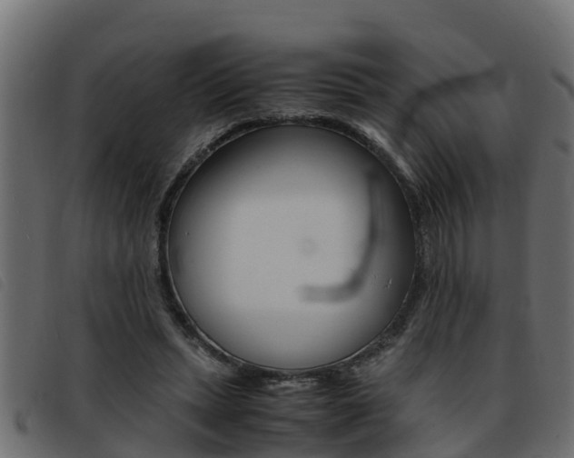X0000093430447200710120921