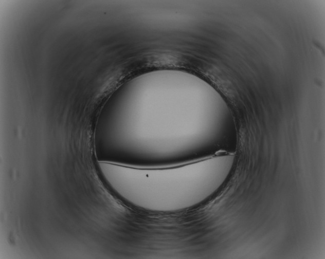 X0000093430449200710120921