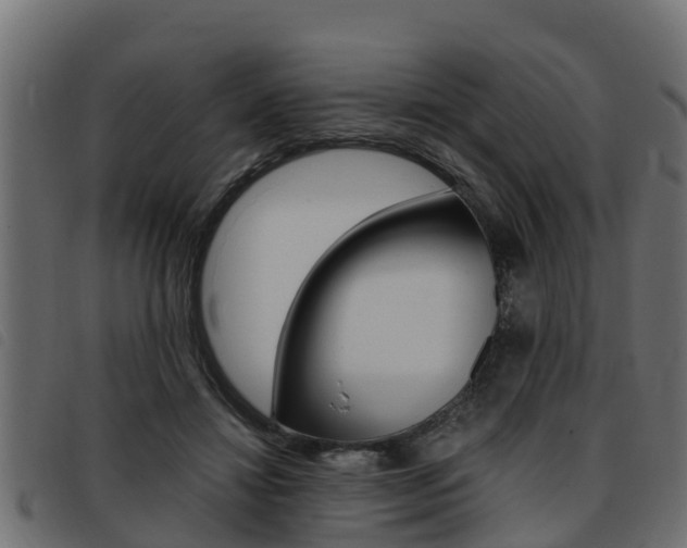 X0000093430452200710120921
