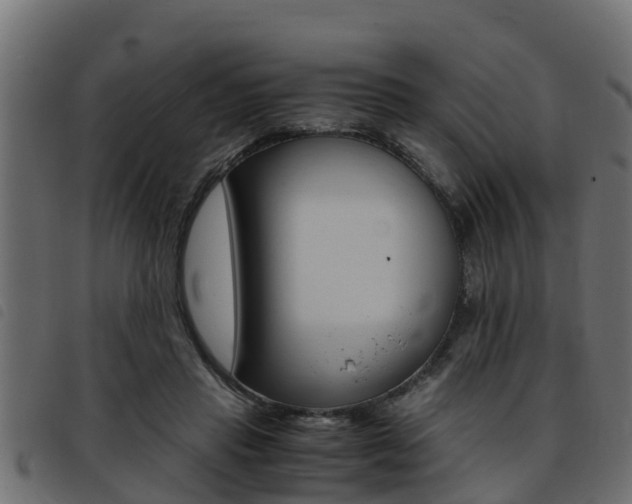 X0000093430453200710120921