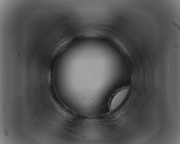 X0000093430454200710120921