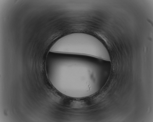 X0000093430455200710120921