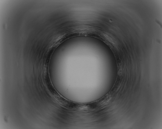X0000093430456200710120921
