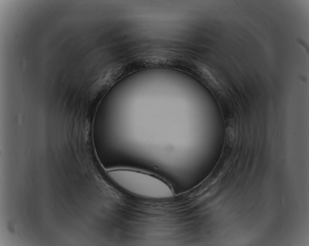 X0000093430458200710120921