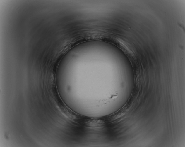X0000093430459200710120921