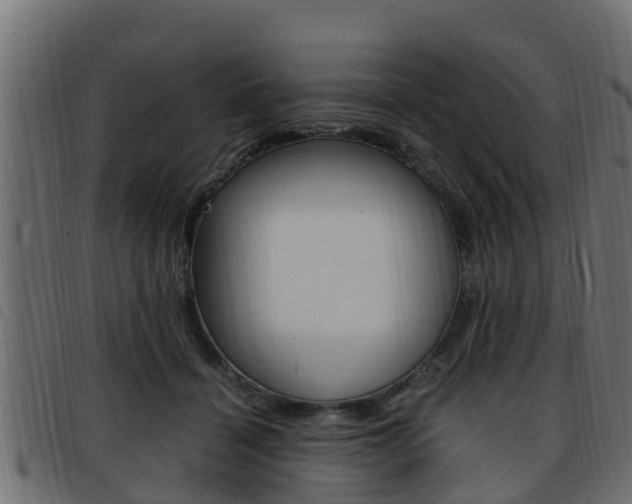 X0000093430460200710120921