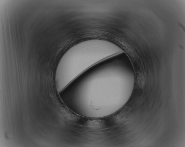 X0000093430461200710120921
