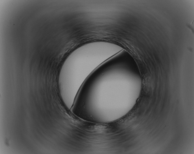 X0000093430462200710120921