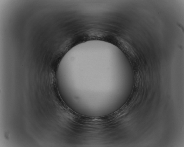 X0000093430463200710120921