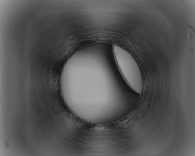 X0000093430464200710120921