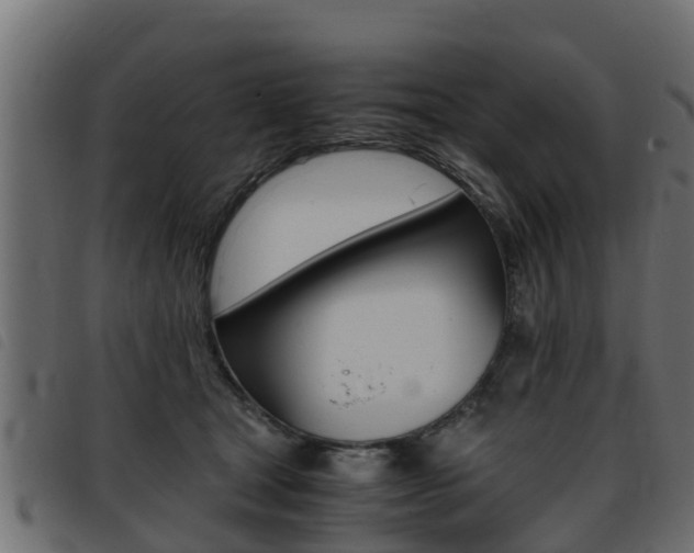 X0000093430465200710120921