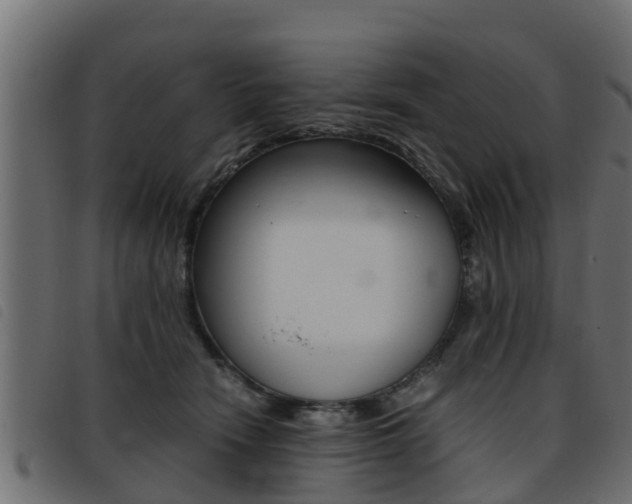 X0000093430466200710120921