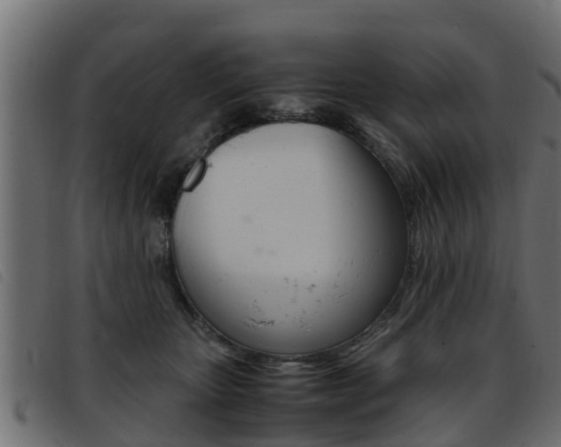 X0000093430467200710120921