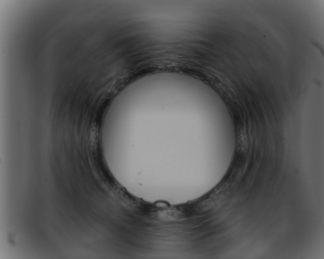 X0000093430468200710120921