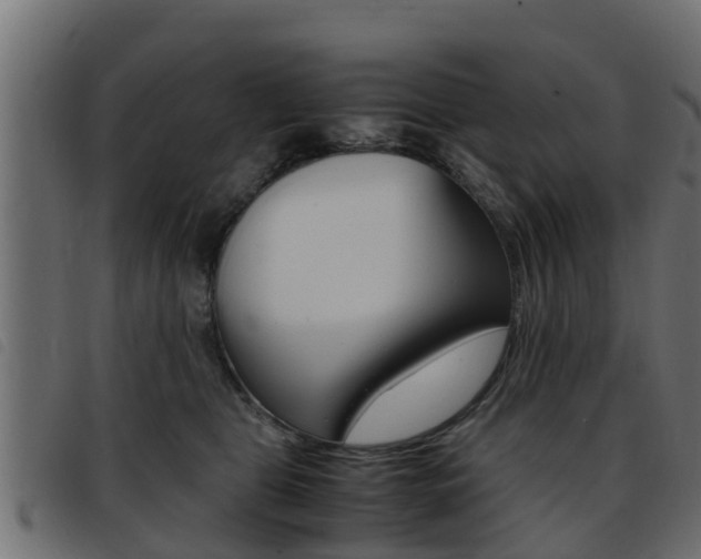 X0000093430469200710120921