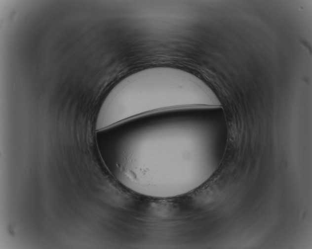 X0000093430470200710120921