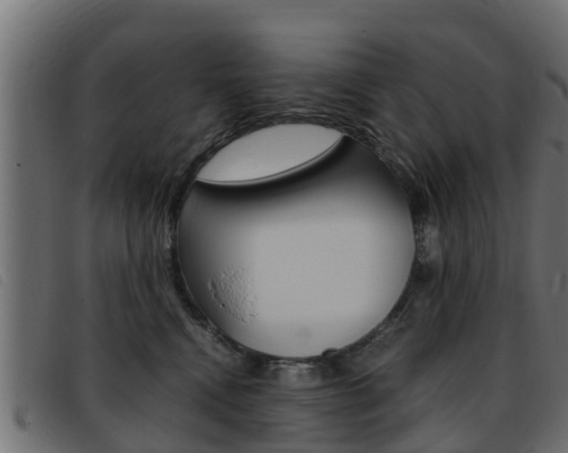X0000093430472200710120921