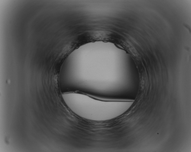 X0000093430473200710120921