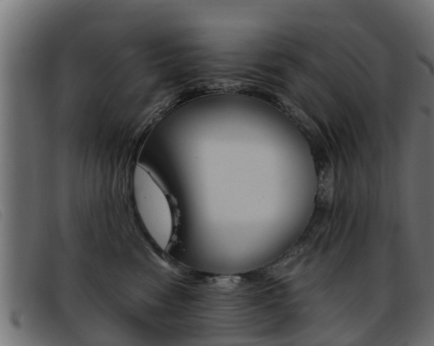 X0000093430474200710120921