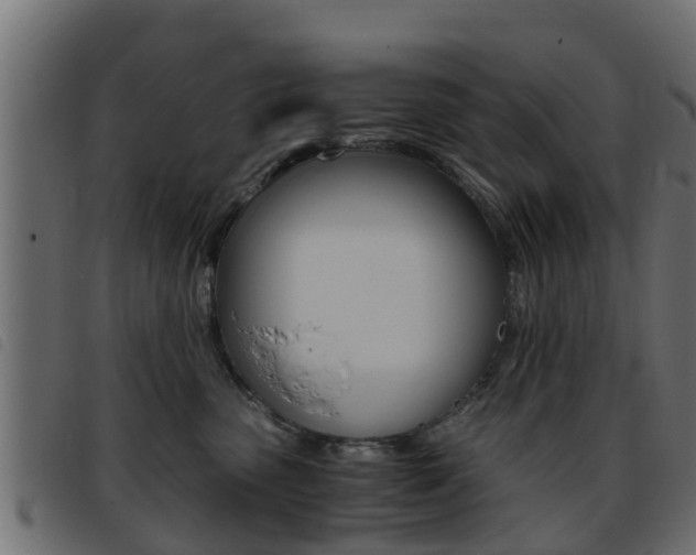 X0000093430475200710120921