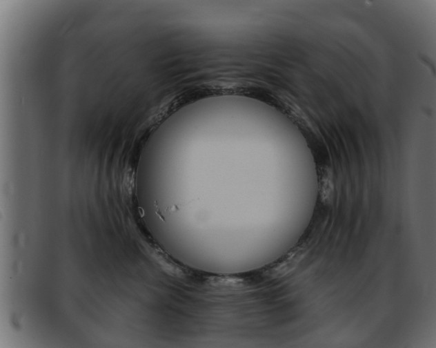 X0000093430476200710120921