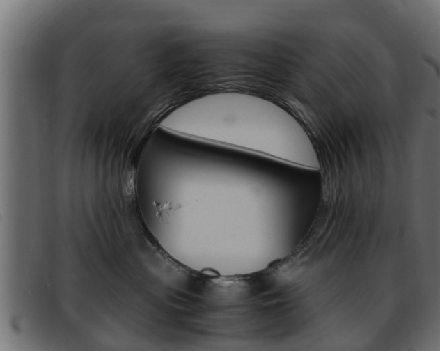 X0000093430477200710120921