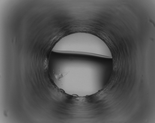 X0000093430478200710120921