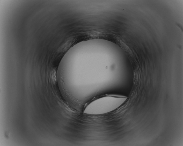 X0000093430479200710120921