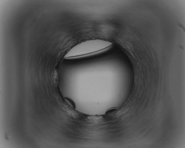 X0000093430480200710120921