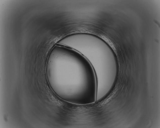 X0000093430481200710120921