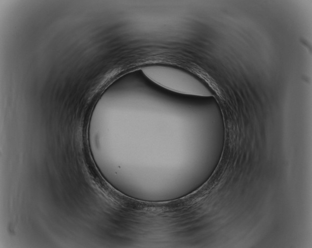X0000093430482200710120921