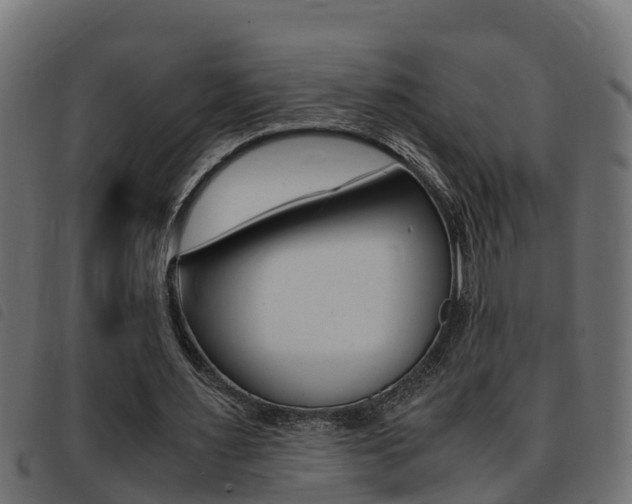 X0000093430483200710120921
