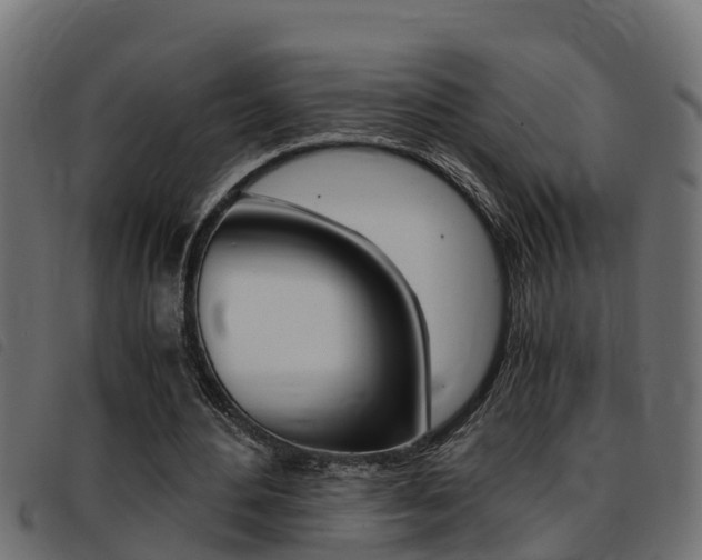 X0000093430484200710120921