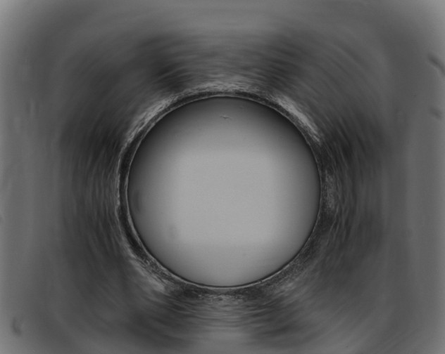 X0000093430486200710120921