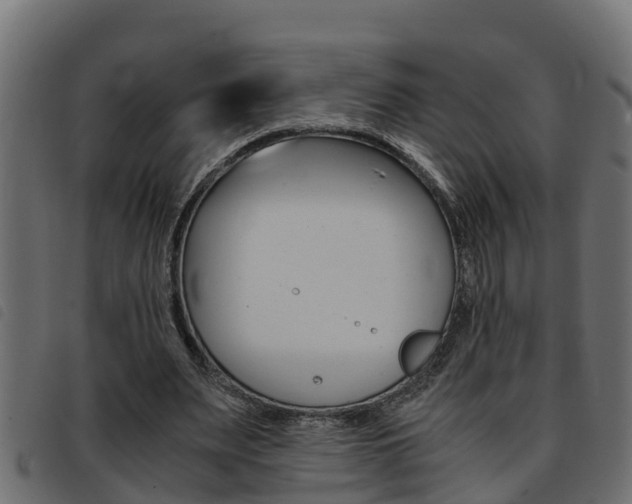 X0000093430487200710120921