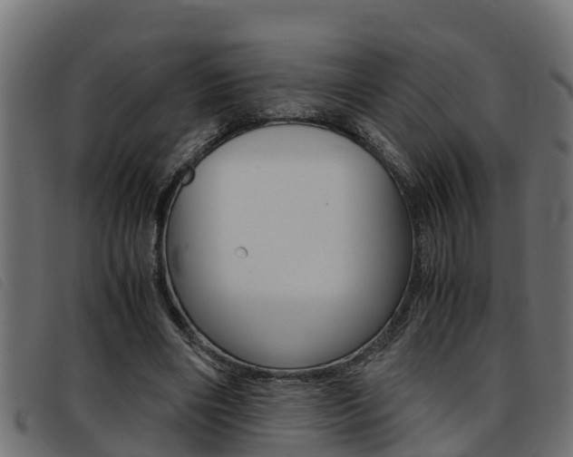 X0000093430490200710120921