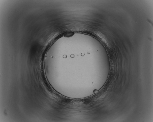 X0000093430491200710120921